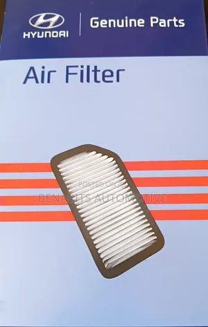 Hyundai Accent Air Cleaner