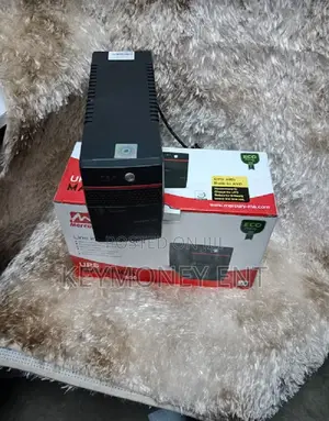 Line Interactive Power Back UP UPS 850VA 2ports