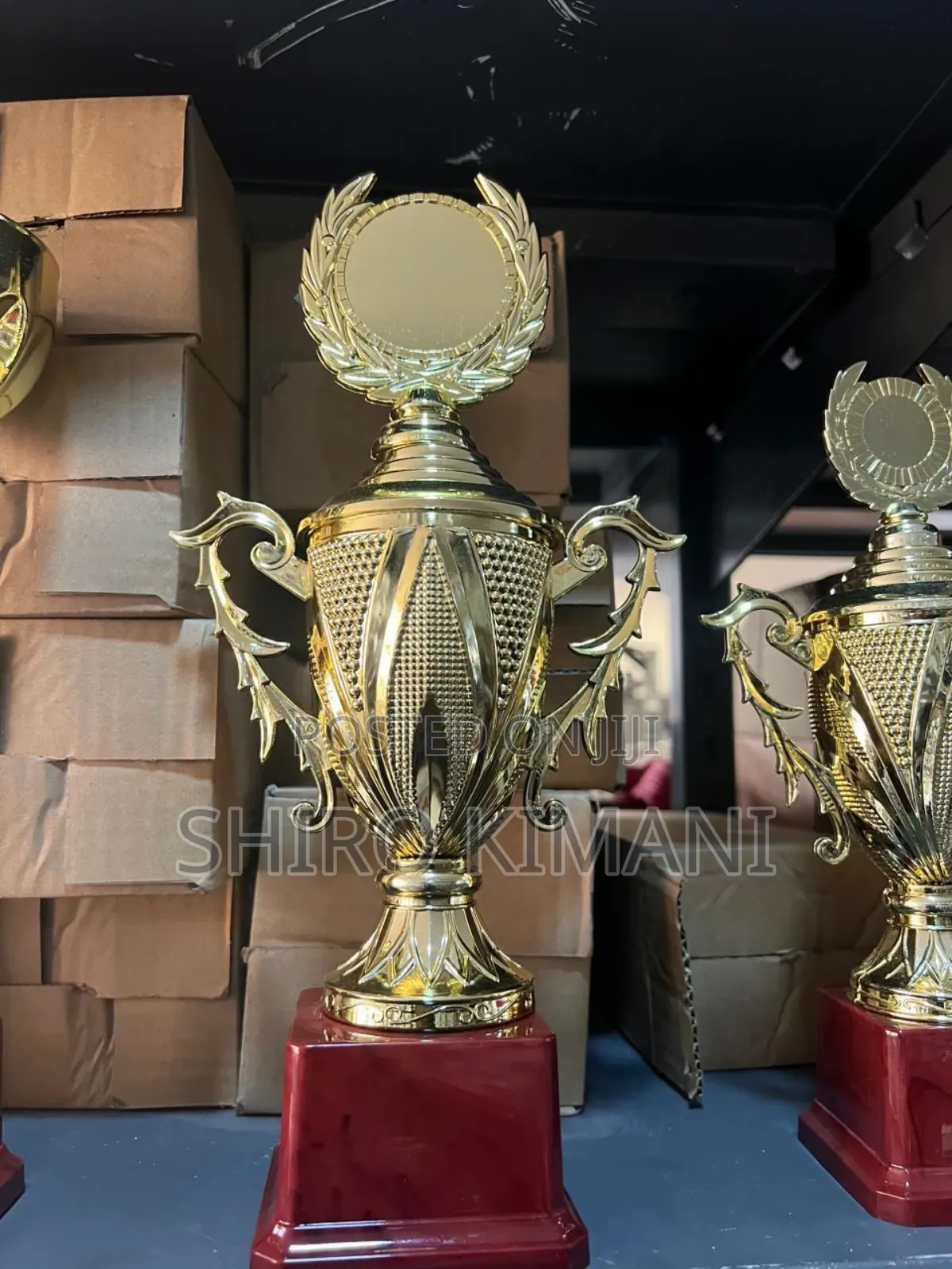 Best Unique Quality Prestige Trophies
