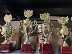 Amazing Top Quality Trophies
