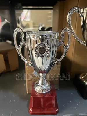 Super Nice Great Quality Trophies