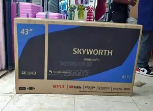 Google Brand New Skyworth 43 Inch Smart TV TS-43
