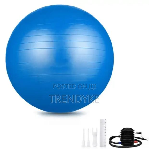 Gym/Yoga Ball - thumbnail 4