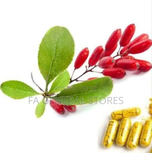 Berberine Extract, Berberine Capsule - thumbnail 2