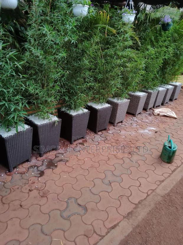 Flower Planters - main view