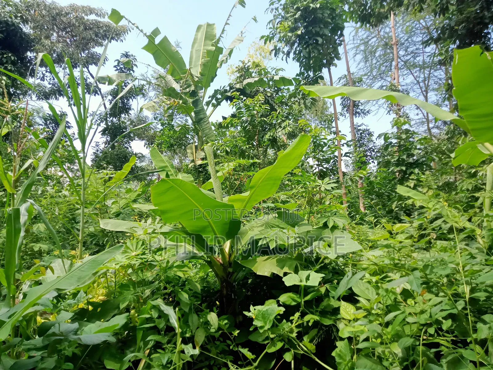 10 Acres of Hilly Landscape Available