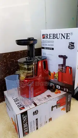 Rebune Slow Juicer