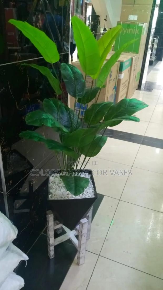 White Stand, Banana and Vase