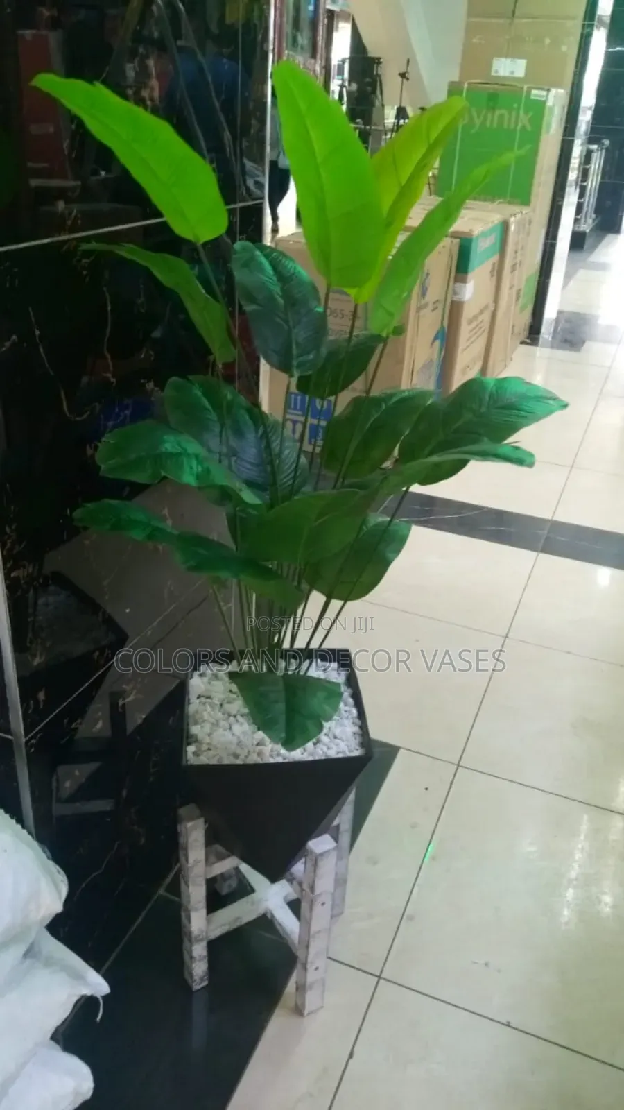 White Stand, Banana and Vase