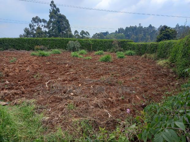 Quick Sale - thumbnail 6