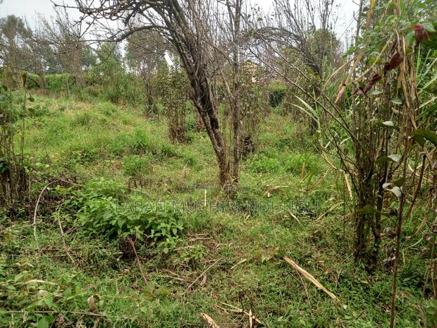 Quick Sale - thumbnail 4