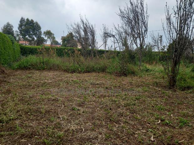 Quick Sale - thumbnail 5