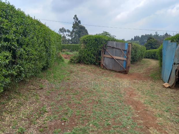 Quick Sale - thumbnail 7