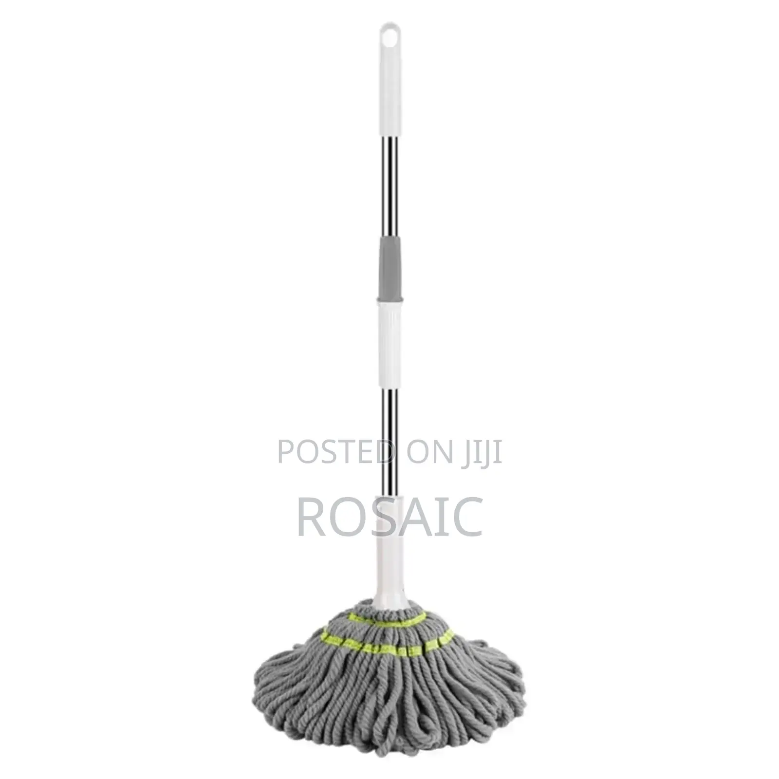 Self Wringing Mop