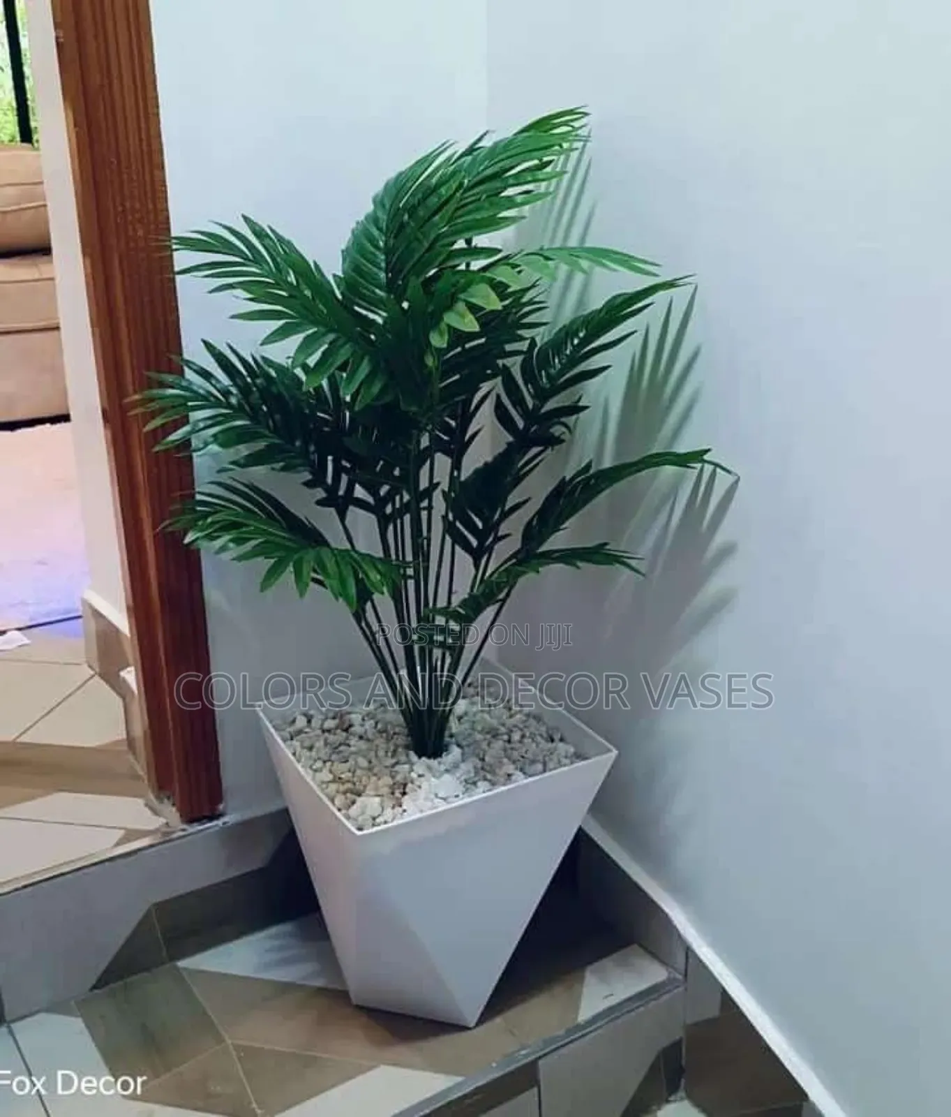 Spice Up Your Home Decor With Affordable Plants
