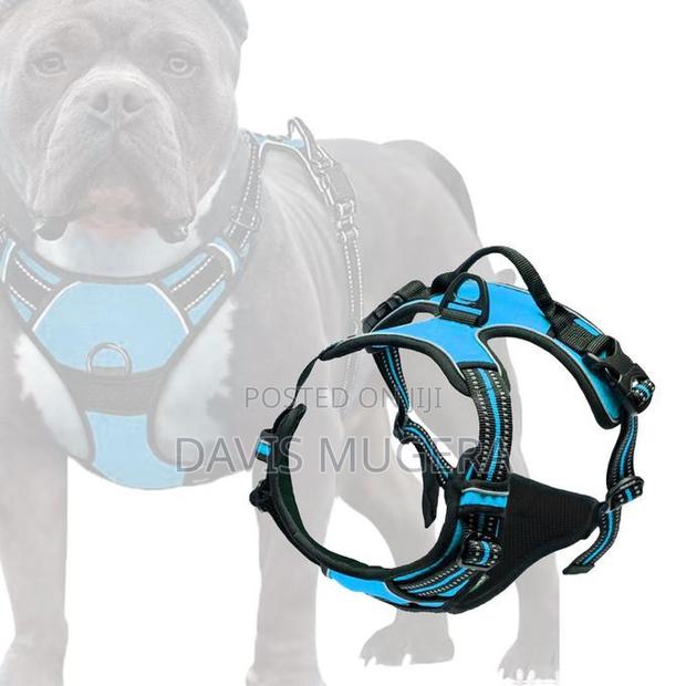 Breathable Dog Harness Vest Lightweight Adjustable for Pet L - thumbnail 6