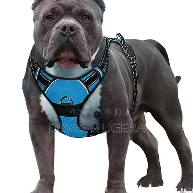 Breathable Dog Harness Vest Lightweight Adjustable for Pet L - main view