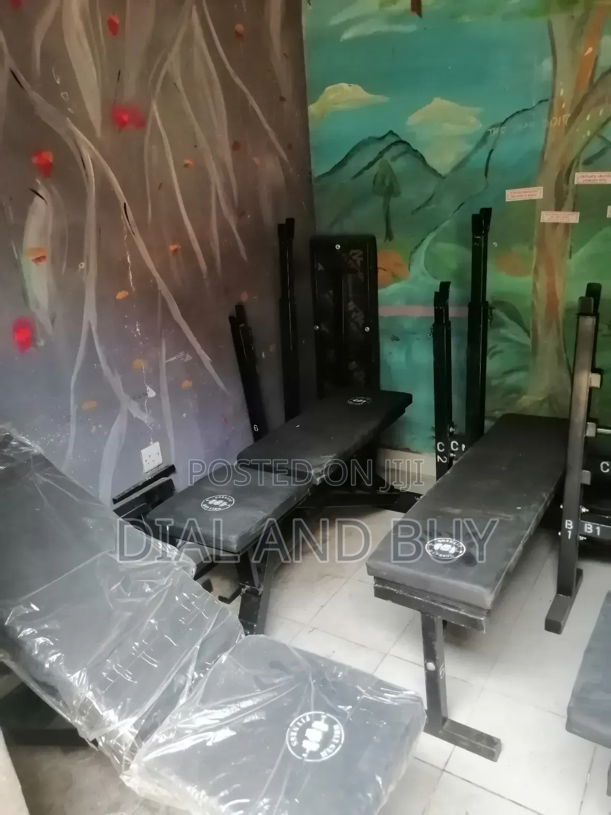 Affordable and Durable Multi-Functional Gym Benches