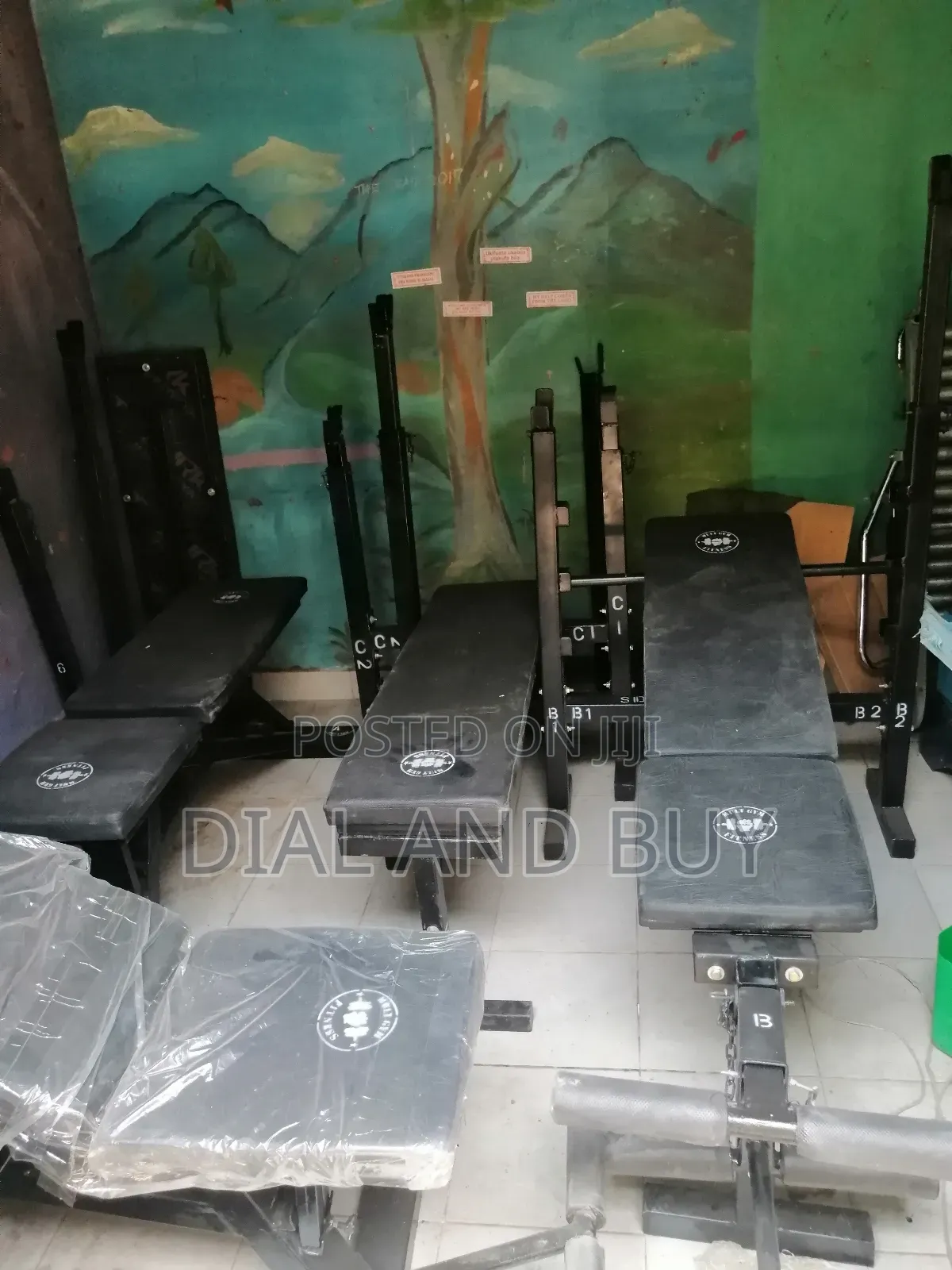 Affordable and Durable Multi-Functional Gym Benches