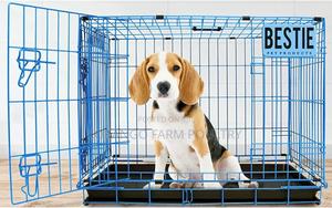 Pet Crates - thumbnail 2