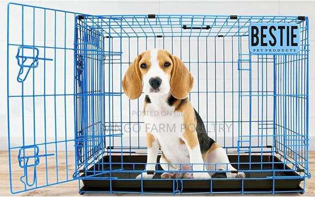 Pet Crates - main view