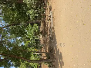 1 Acre for Sale in Nyali Mombasa