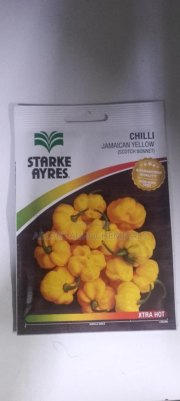 Chilli Seeds Jamaican Yellow (Scotch Bonnet) 0.5grams - thumbnail 3