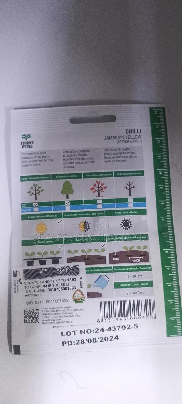 Chilli Seeds Jamaican Yellow (Scotch Bonnet) 0.5grams - thumbnail 4