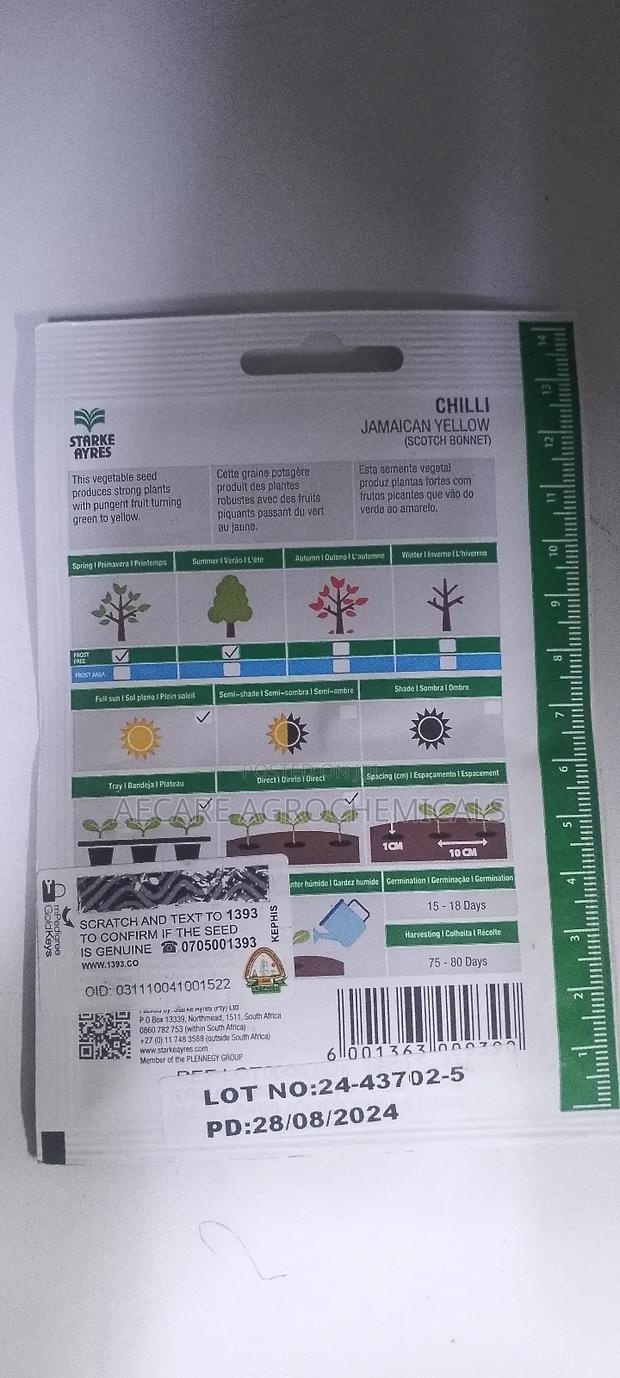 Chilli Seeds Jamaican Yellow (Scotch Bonnet) 0.5grams - thumbnail 5