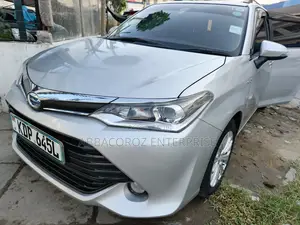 Toyota Corolla Fielder 2017 Silver