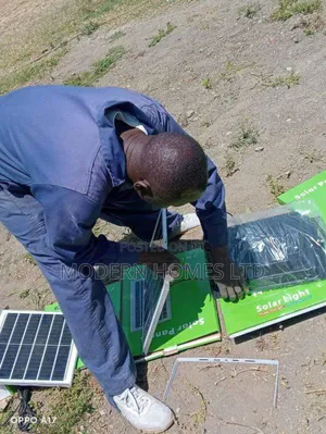 From Dusk Till Dawn: Why Solar Lights Are a Game Changer!