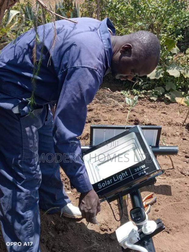 From Dusk Till Dawn: Why Solar Lights Are a Game Changer! - main view