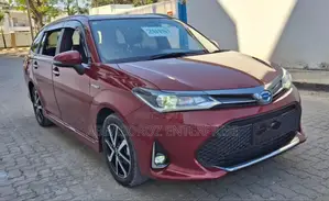 Toyota Corolla Fielder 2018 Burgundy