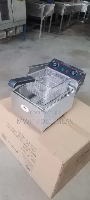 Imported Modern Electric Single Fryer