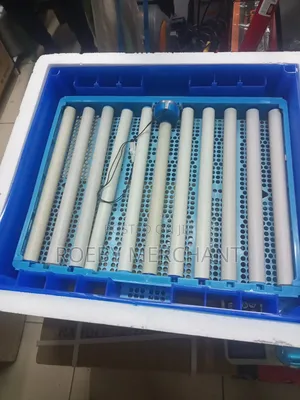 The Full Automatic 64eggs Incubator