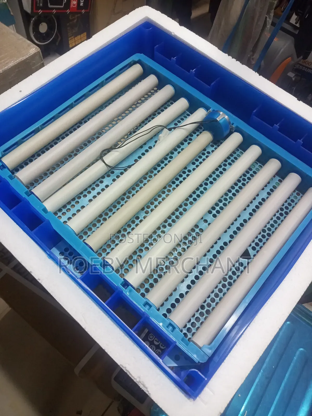 Ac/Dc Automatic 64eggs Incubator