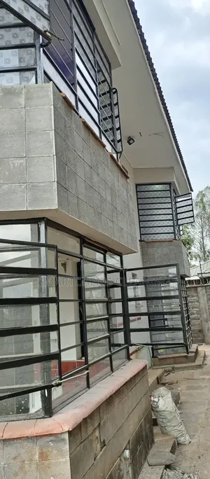 Windows Cleaning Services