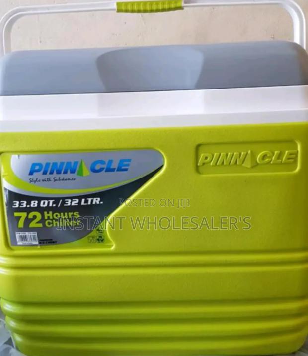 Assorted Pinnacle Cooler Box