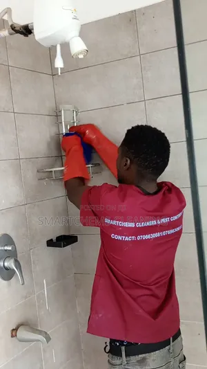 House Dusting Services