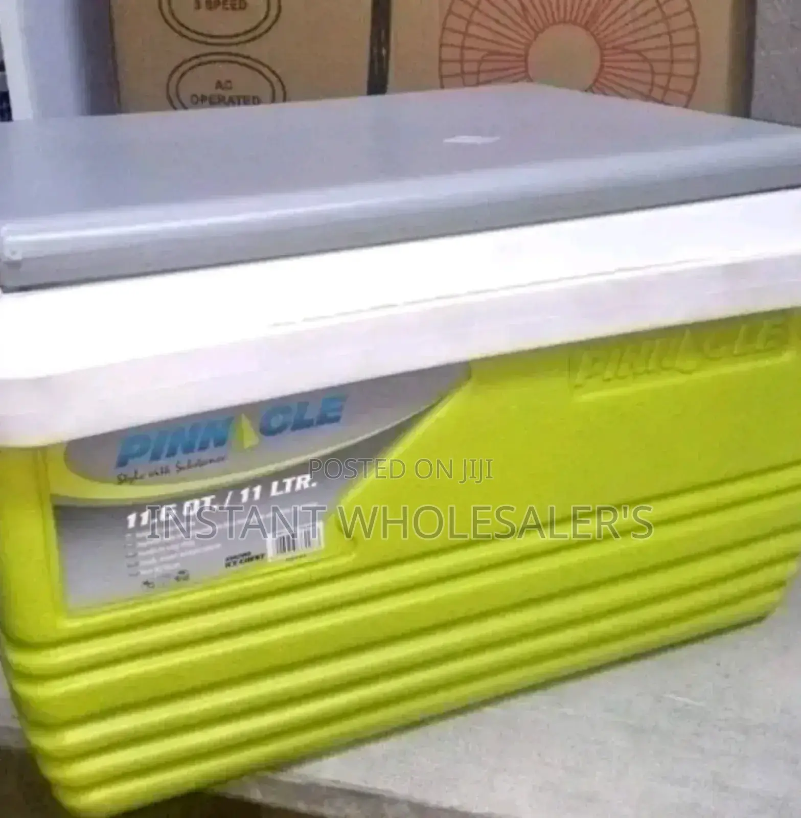 11 Litres Capacity Cooler Box