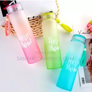 480ml Hello Master Water Bottle