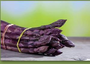 Purple Asparagus Seeds - thumbnail 2
