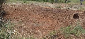 Plot for Sale at Thika Kiahuria - main view