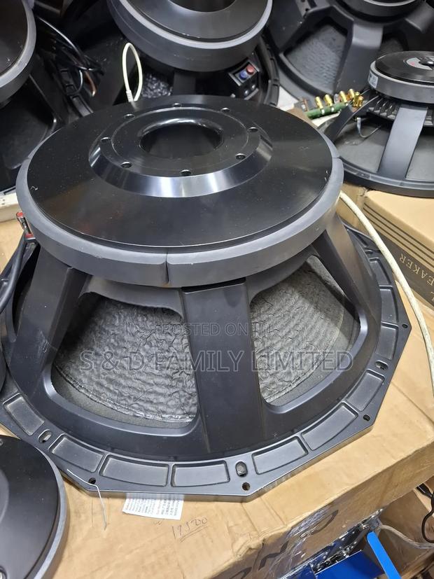 Derwel 21 Inches Naked Bass Speaker