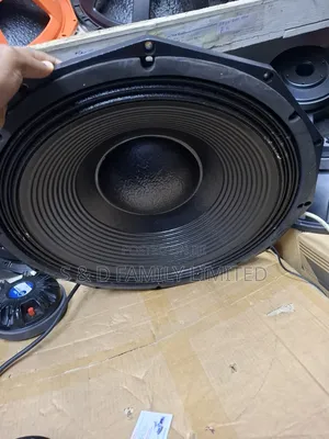 Derwel 21 Inches Naked Bass Speaker