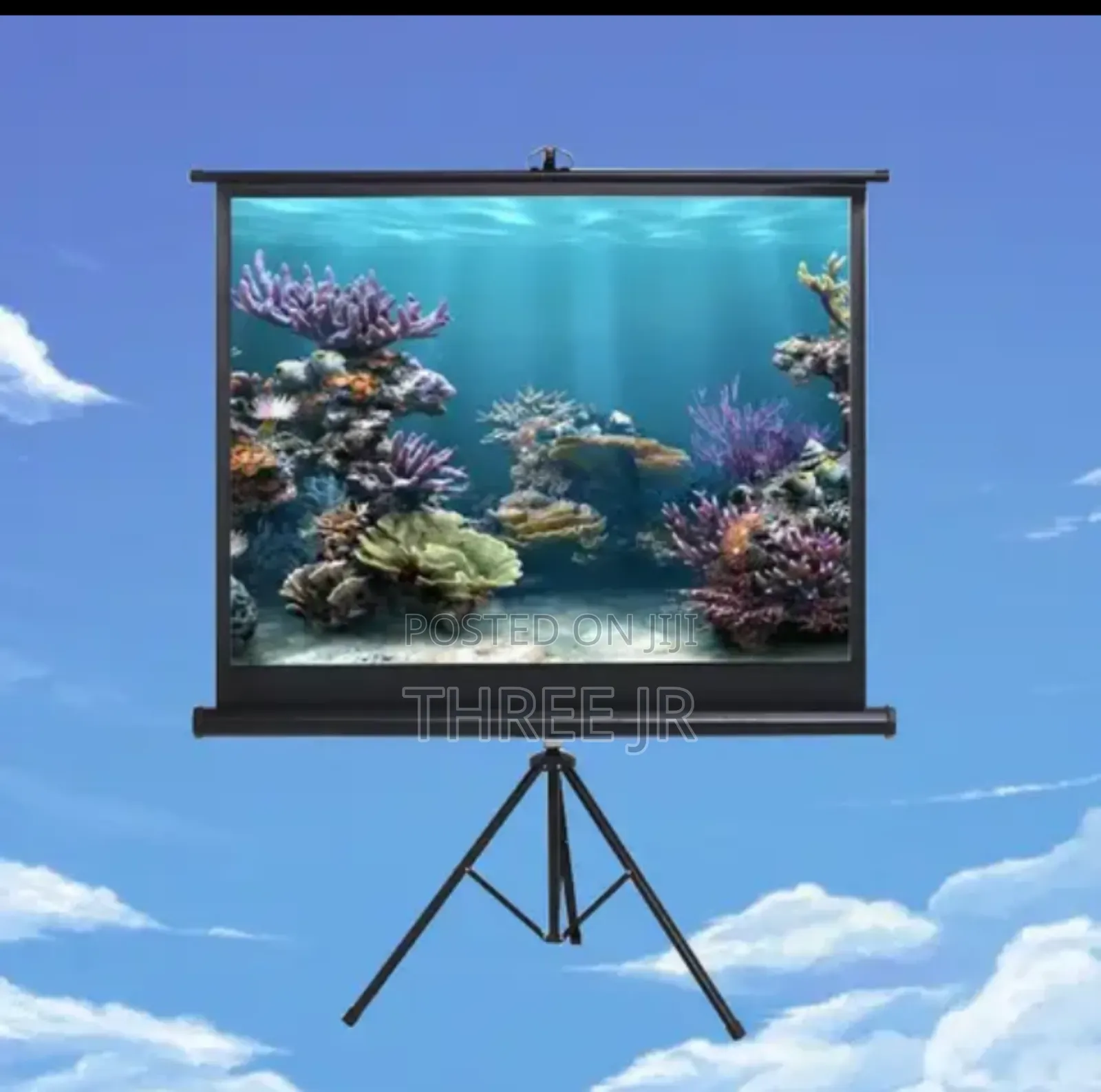 Tripod Type Projector Screens All Sizes Available