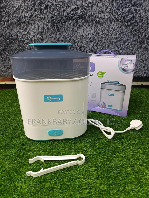 Electric Steam Steriliser