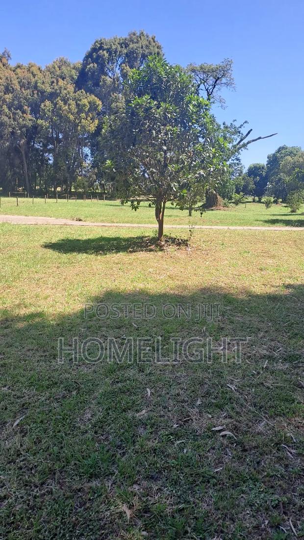 A Fully Serviced 1 Acre Land for Sale in Karen - thumbnail 2