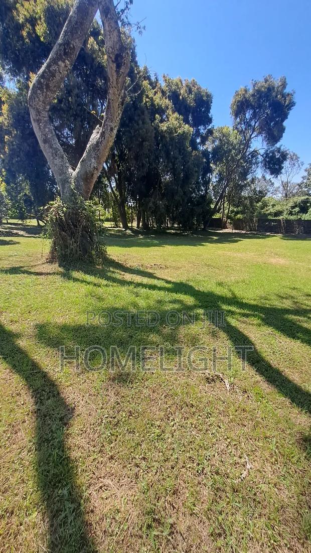 A Fully Serviced 1 Acre Land for Sale in Karen - thumbnail 4