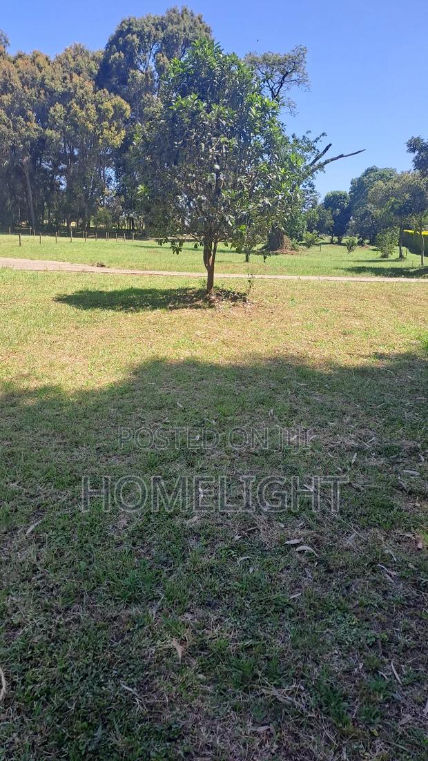A Fully Serviced 1 Acre Land for Sale in Karen - thumbnail 7